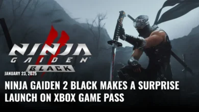 Ninja Gaiden Black