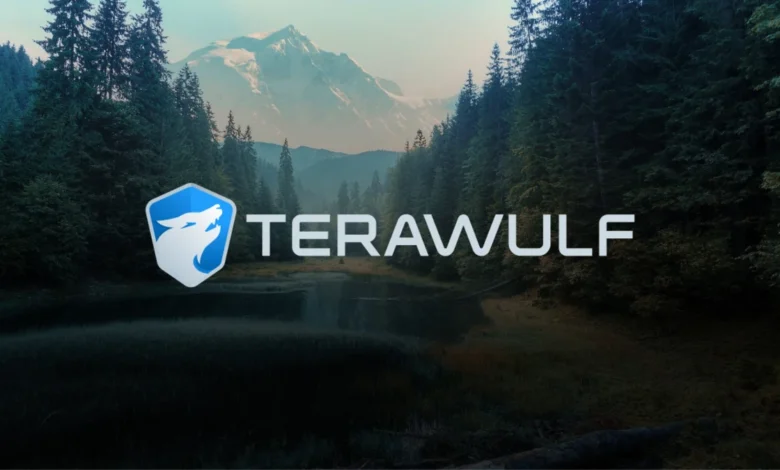 Terawulf Stock Price