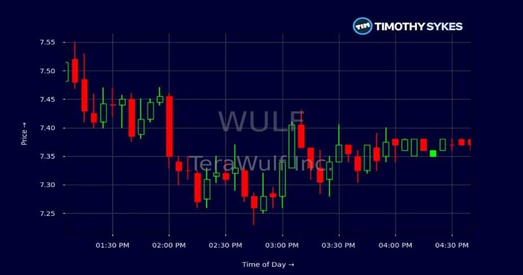 Terawulf Stock Price: An In-Depth Analysis1