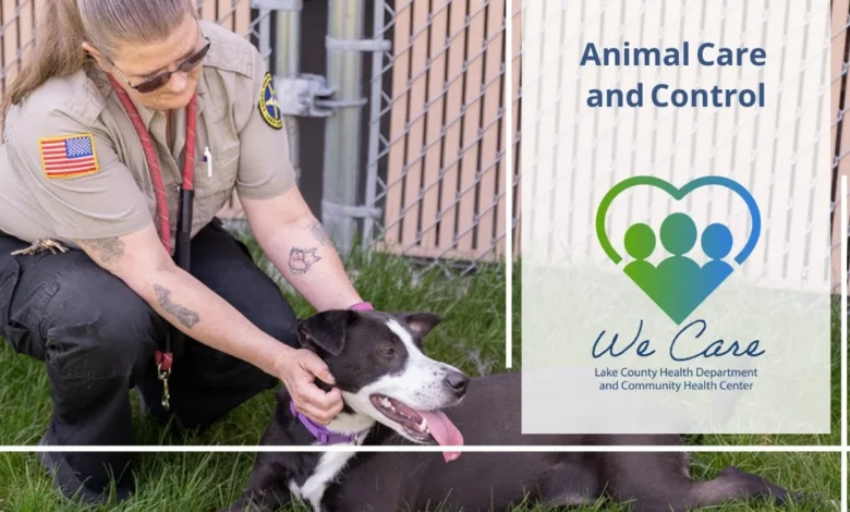 Animal Care and Control